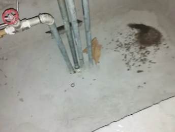 番禺卫生间测漏水价格明细